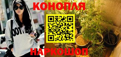 соль ск Новодвинск