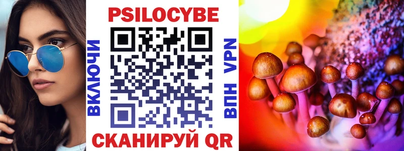 где найти наркотики  Находка  Галлюциногенные грибы Cubensis 