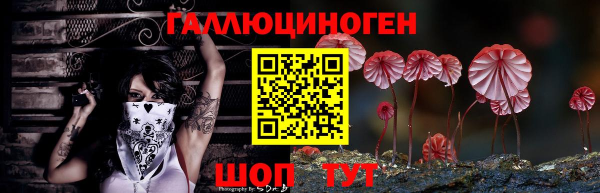 Находка  Галлюциногенные грибы Cubensis  Вход с VPN  Галлюциногенные грибы Psilocybe 